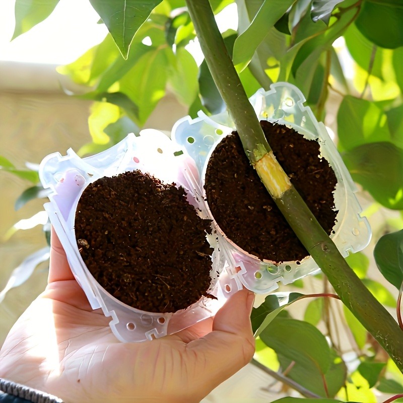 10개입 고압 식물 뿌리화 번식 상자 키트, 정원용 압 - Plant Parent Kit 리뷰 및 가격
