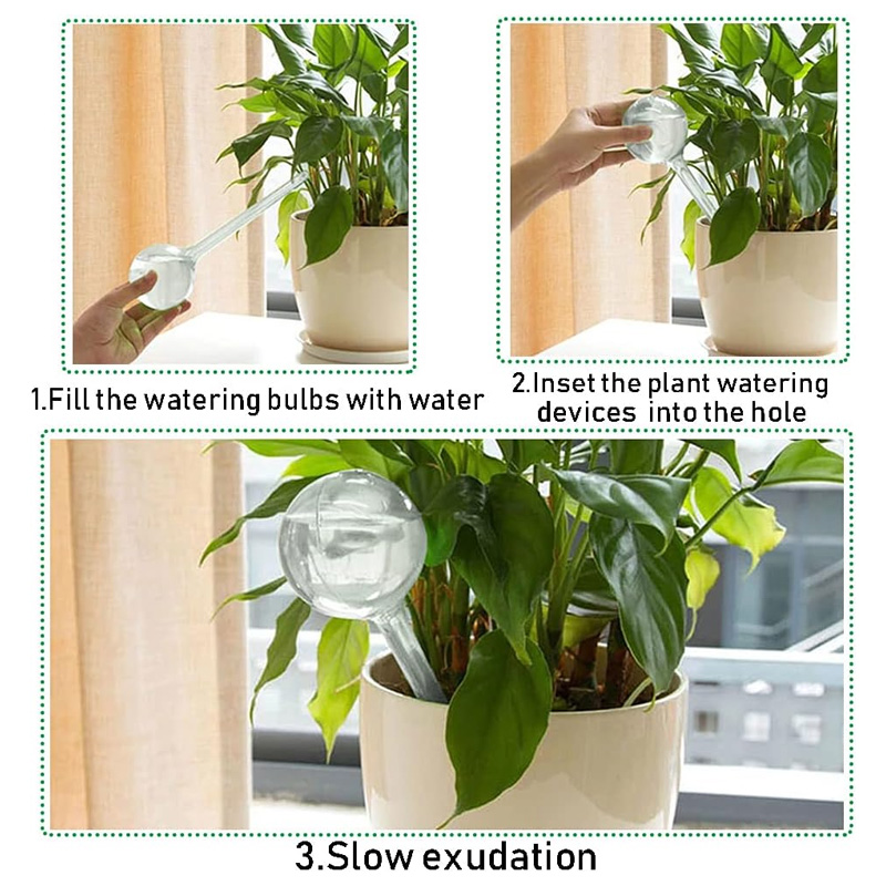 5/10PCS 자동 식물 급수 전구 자체 급수 글로브  - Plant Parent Kit 리뷰 및 가격