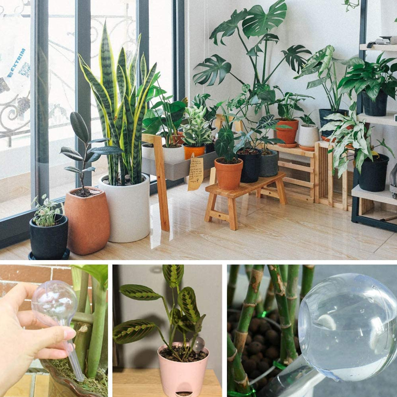 5/10PCS 자동 식물 급수 전구 자체 급수 글로브  - Plant Parent Kit 리뷰 및 가격